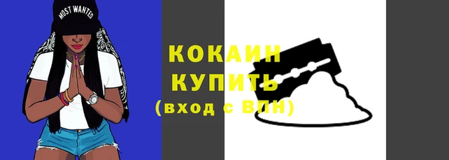 a pvp Аркадак