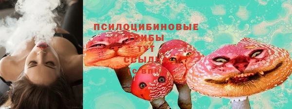 a pvp Аркадак